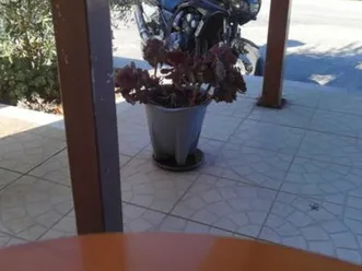 yamaha fazer 600 leiria, pousos, barreira e cortes