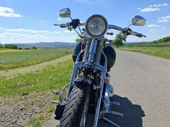 harley-davidson softail