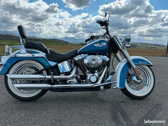 harley davidson softail