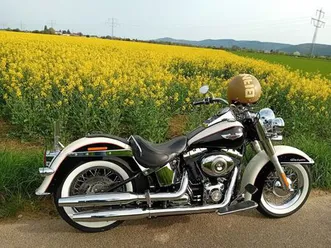 harley-davidson softail deluxe 5hd mit zertifikat! top zustand