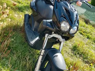 stunt 49cm tout origine