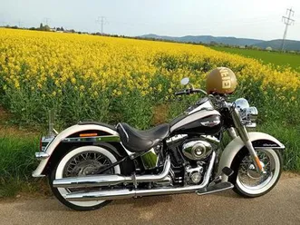 harley-davidson softail deluxe 5hd mit zertifikat! top zustand