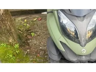 quadro 3 350 (2017 - 18)