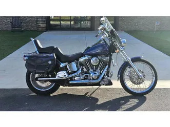 2007 softail® custom