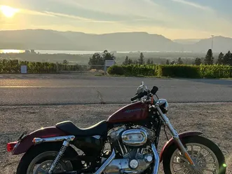 2007 harley davidson sportster xl883