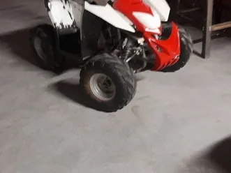 ✴️✴️quad 110✴️✴️