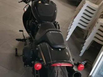 harley davison fat bob softail