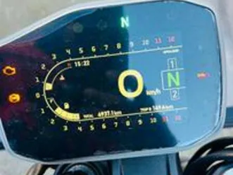 bonelli leoncino 800