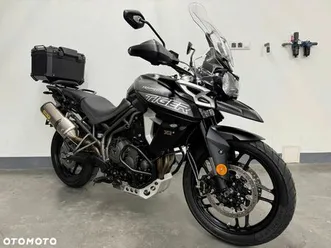 triumph tiger