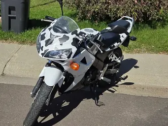 perfect starter bike