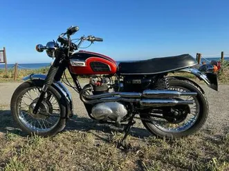 triumph - t100 c
