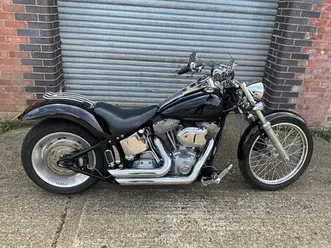 2004 harley davidson softail custom special