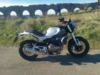 qj srv 550 due mesi di vita