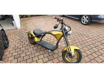 mangosteen m1 l1 e chopper custom 30ah 45km/h