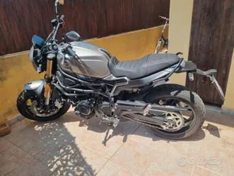 benelli leoncino 800 - 2023