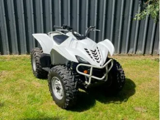 quad homologué wolverine 350
