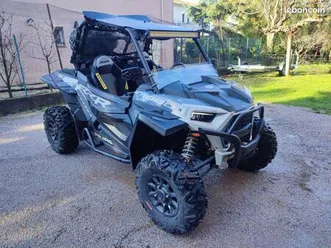 buggy polaris rzr xp 1000
