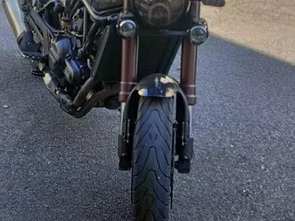 benelli leoncino nero