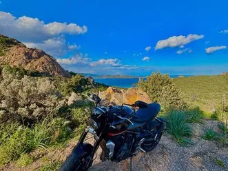 moto triumph 660 trident