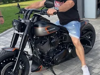 harley-davidson softail fat bob