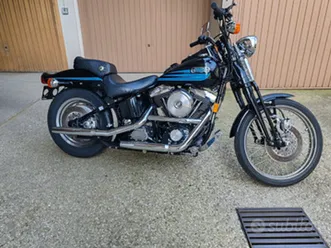 harley davidson bad boy