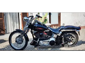 springer softail fxsts