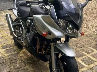 suzuki bandit 1200 s