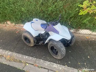 quad suzuki lt80 2 temps