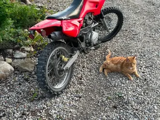 2008 125 cc dirt bike