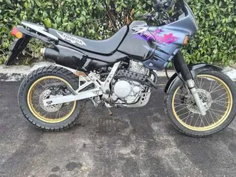 nx dominator 500