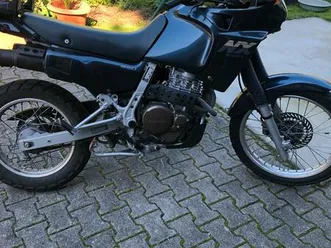 honda dominator 650