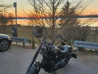 harley-davidson dyna street bob