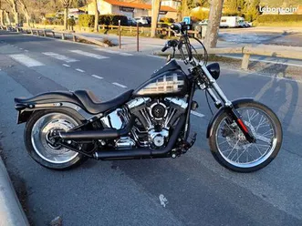 harley-davidson softail custom