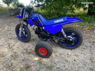 piwi pw 50 2024 + roulette maintien neuve