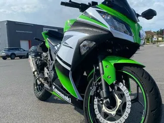 ninja 300