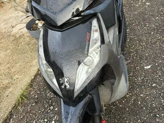 scooter geo rs