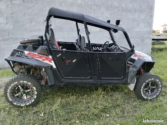 buggy polaris rzr