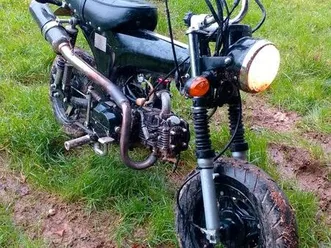 dax skyteam 125 lifan x nibbi