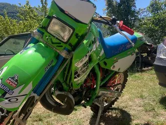 kawasaki 250 kdx