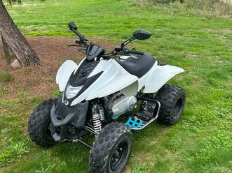 quad 360 démon homologué
