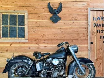 harley davidson panhead survivor