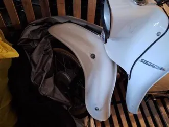 schwalbe zu verkaufen