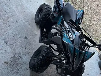 quad, predator, 110cc