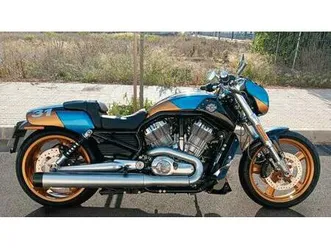 harley davidson - vrsc-f vrod muscle
