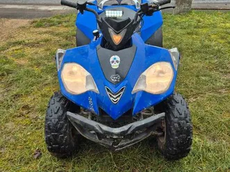 quad 250 cc