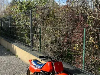 qr 50 honda 1983-1984 collector