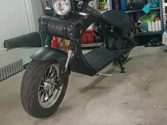 e chopper mangosteen 45kmh zulassung