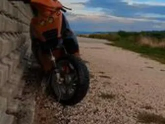 beta ark cross 50 cc