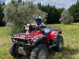 honda foreman 450