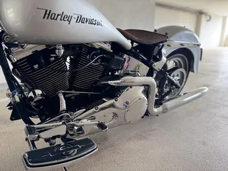 flsts heritage springer